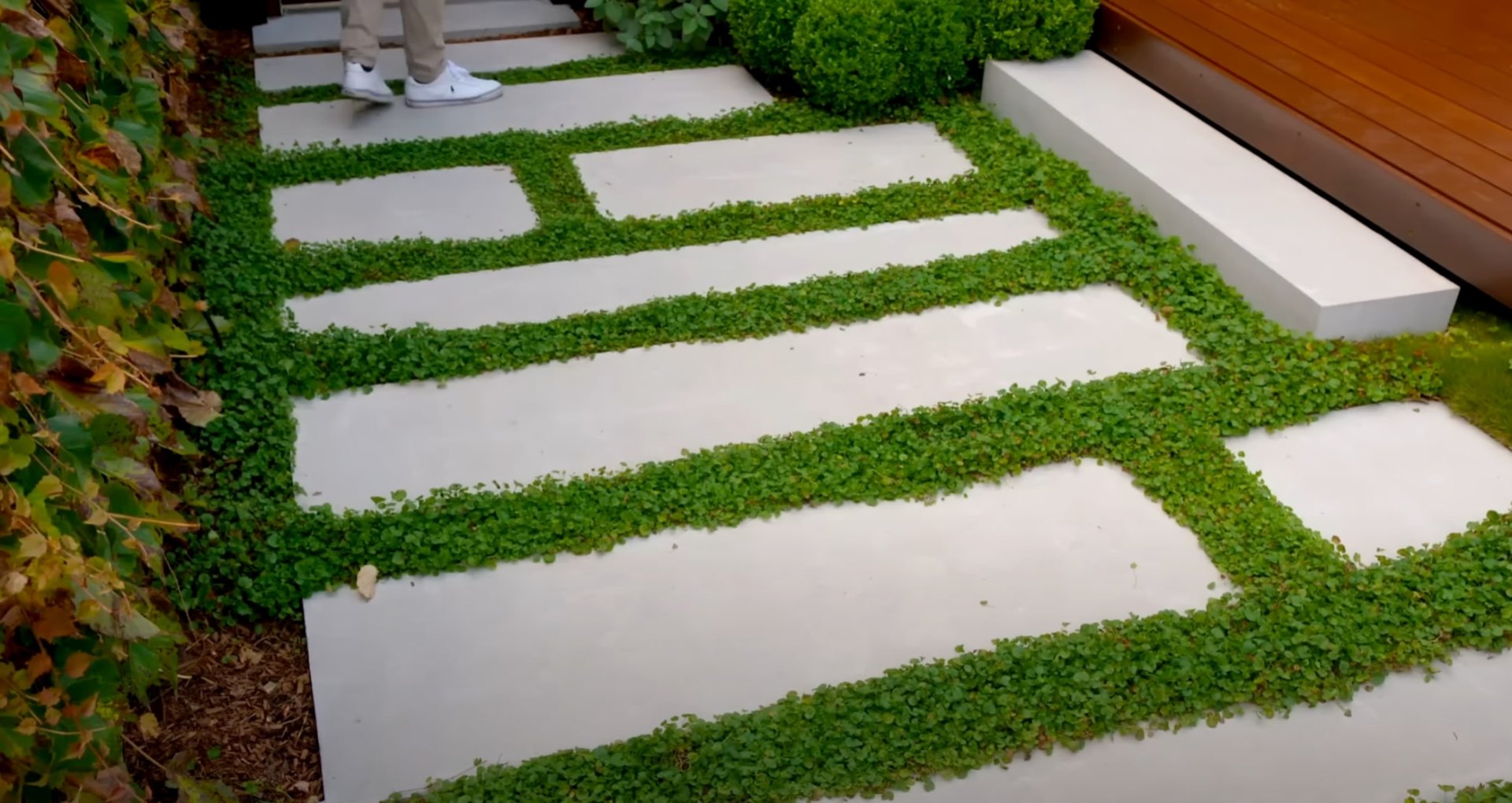 Contemporary Hardscaping & Groundcover Modern hardscaping design with clean concrete pathways bordered by perfectly maintained groundcover and contemporary plantings